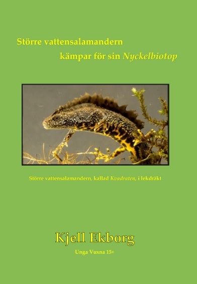 Ekborg, Kjell | Större vattensalamandern kämpar för sin Nyckelbiotop