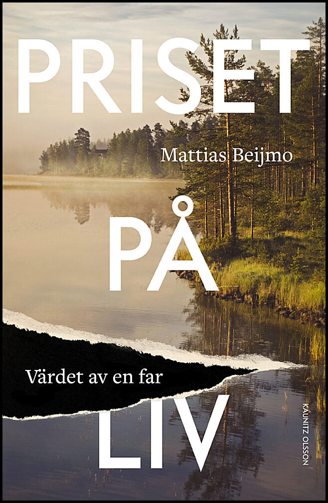 Beijmo, Mattias | Priset på liv. Värdet av en far