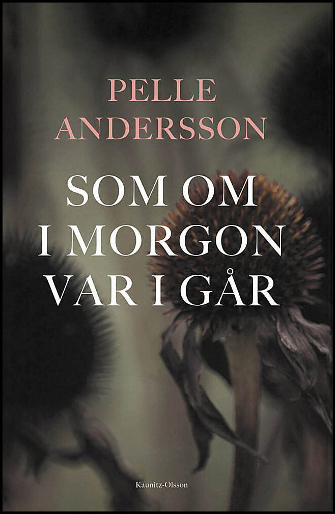 Andersson, Pelle | Som om i morgon var i går