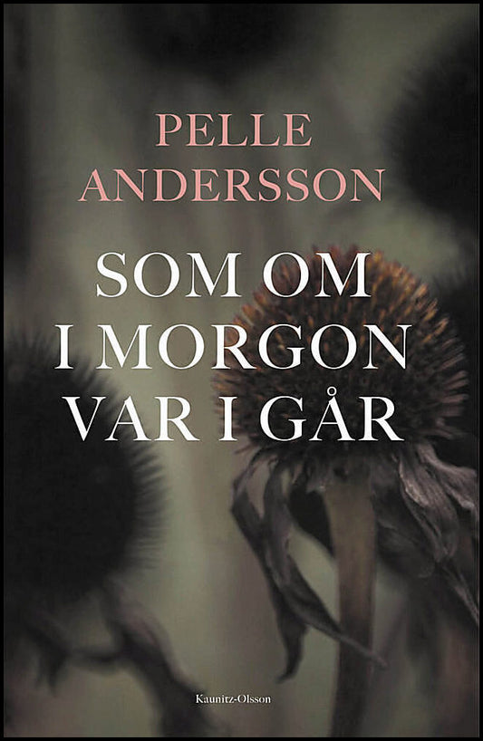 Andersson, Pelle | Som om i morgon var i går