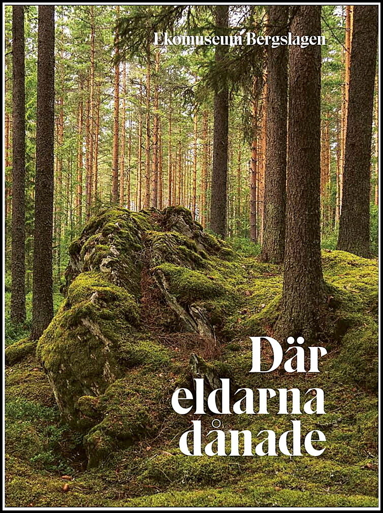 Falk, Bisse | Där eldarna dånade