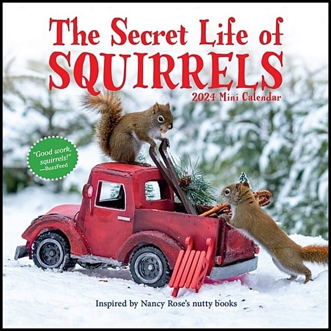 Rose, Nancy | Secret Life of Squirrels Mini Calendar 2024