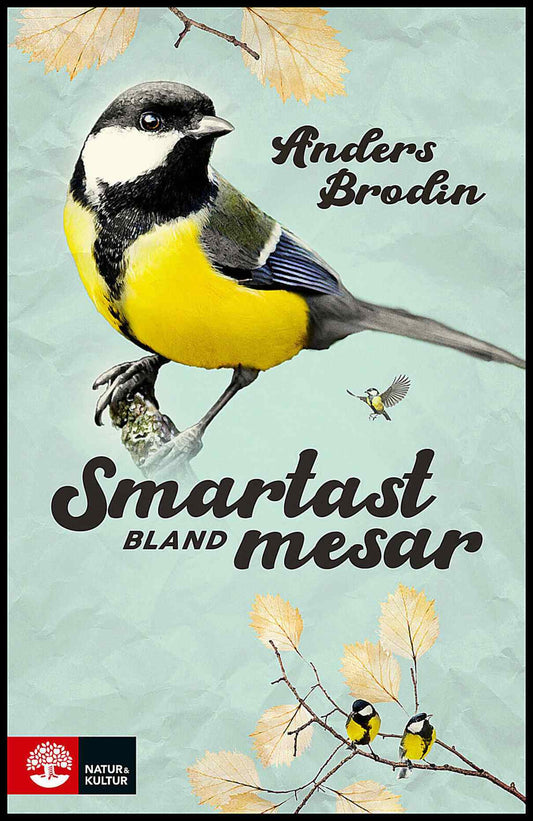 Brodin, Anders | Smartast bland mesar