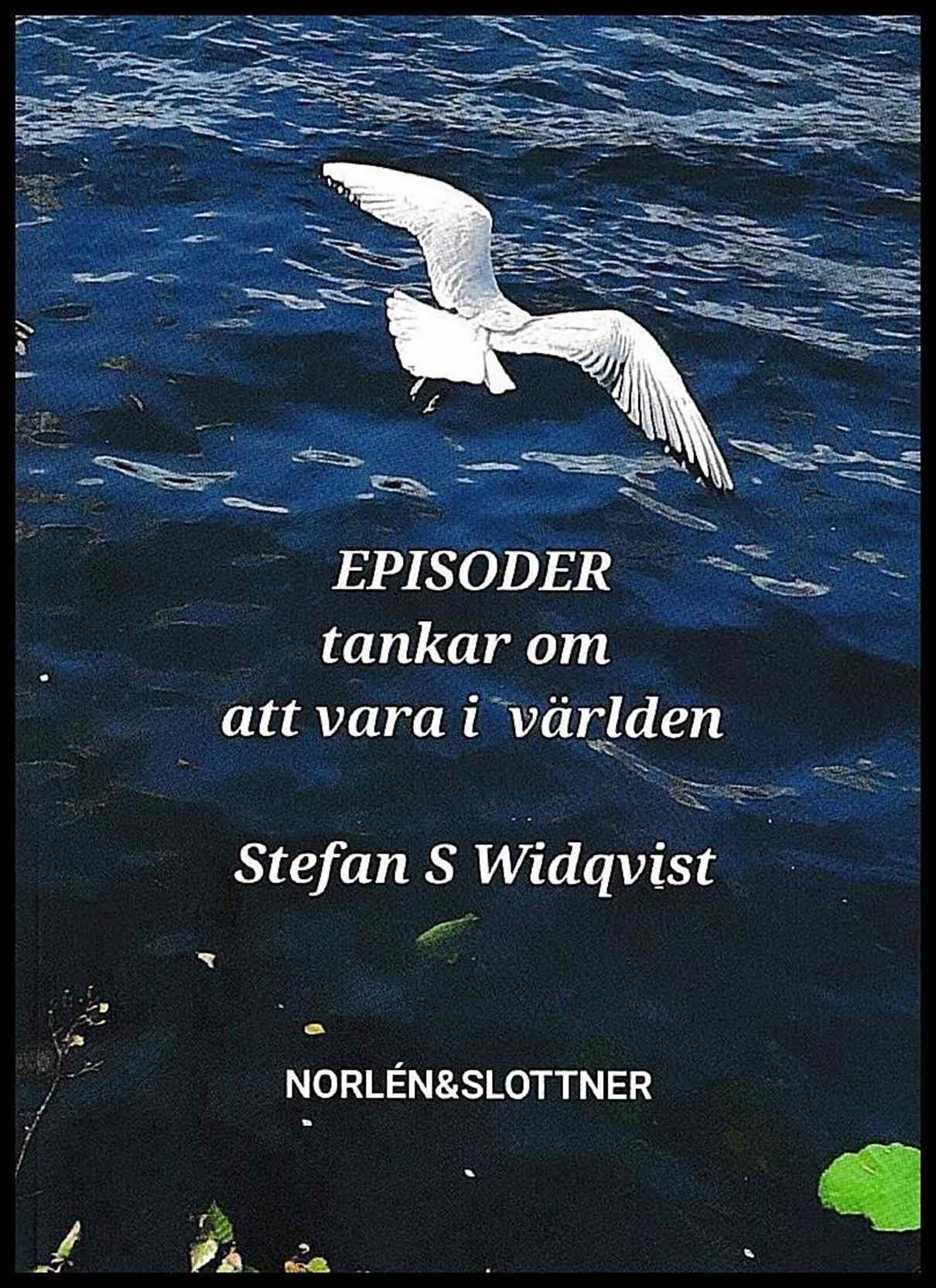 S. Widqvist, Stefan | Episoder : Tankar om att vara i världen