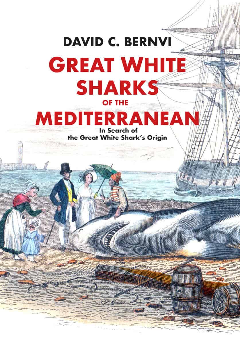 Bernvi, David C. | Great white sharks of the Mediterranean : In Search of the Great White Shark's Origin