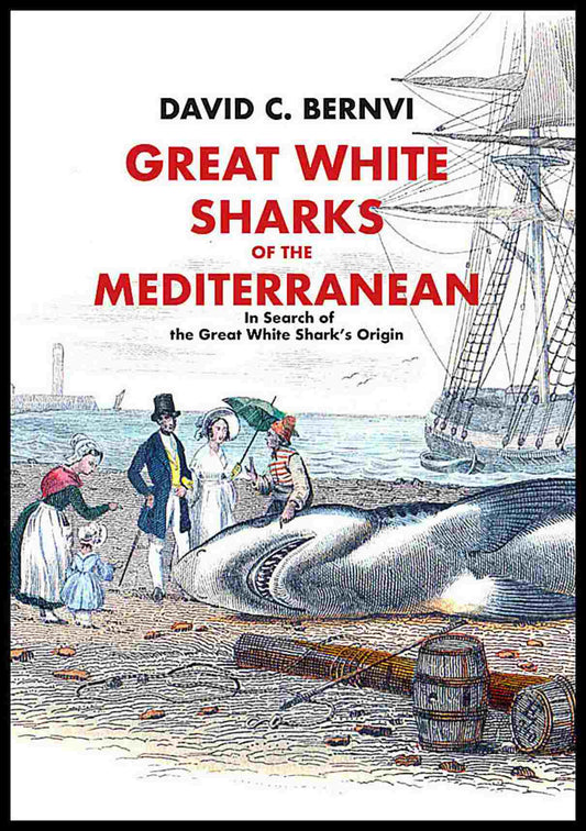 Bernvi, David C. | Great white sharks of the Mediterranean : In Search of the Great White Shark's Origin