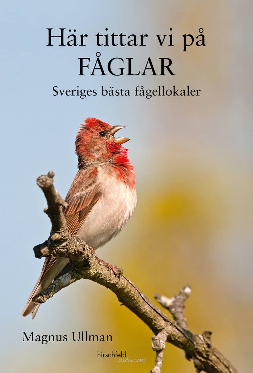 Ullman, Magnus | Här tittar vi på fåglar : Sveriges bästa fågellokaler