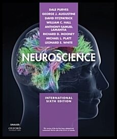 Platt, Michael| Purves, Dale| Augustine, George| Fitzpatrick, David [red.] | Neuroscience