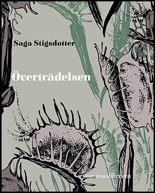 Stigsdotter, Saga | Överträdelsen