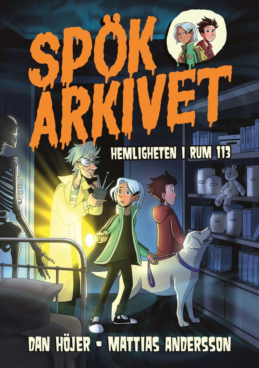 Höjer, Dan | Hemligheten i rum 113