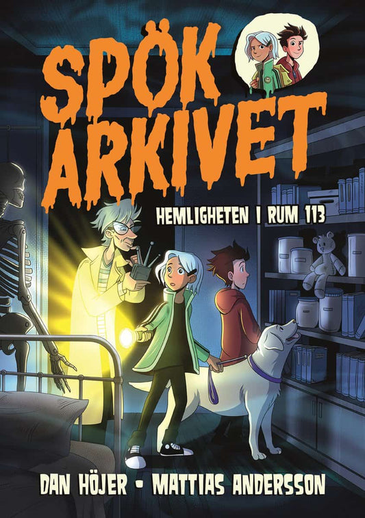 Höjer, Dan | Hemligheten i rum 113
