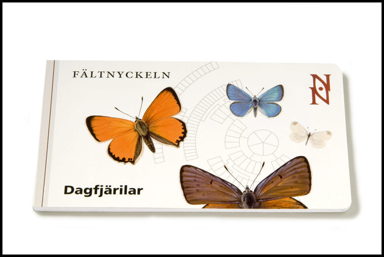 Fältnyckeln. Dagfjärilar