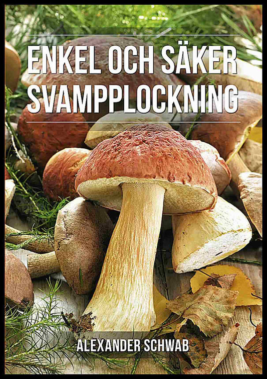 Schwab, Alexander | Säker svampplockning : De vanligaste svamparna