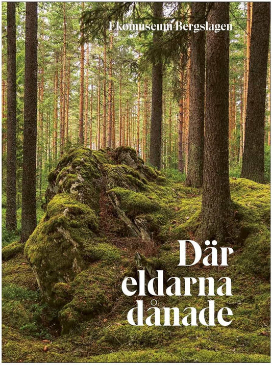 Falk, Bisse | Där eldarna dånade
