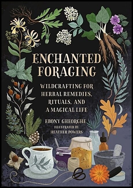 Gheorghe, Ebony | Enchanted Foraging