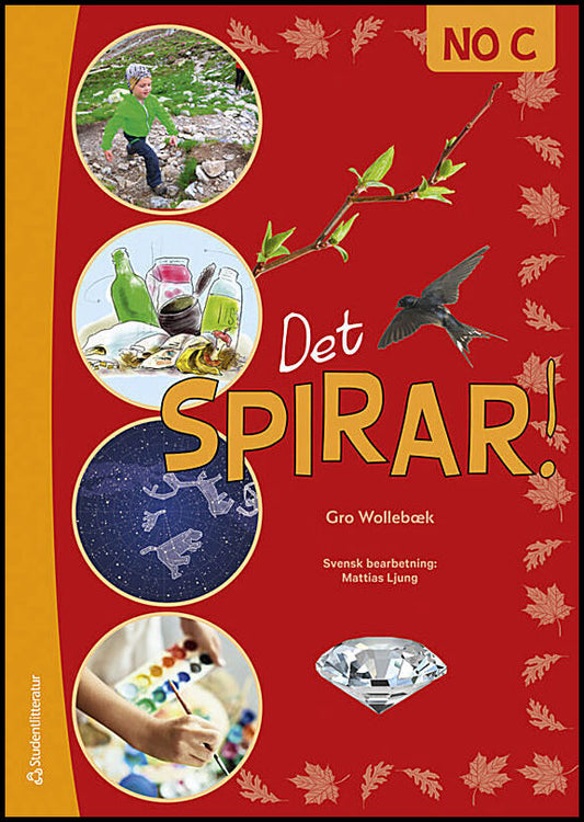 Wollebæk, Gro | Det spirar! NO C : Luft, vatten,  näringskedjor,  allemansrätten,  matspjälkningen m.fl.