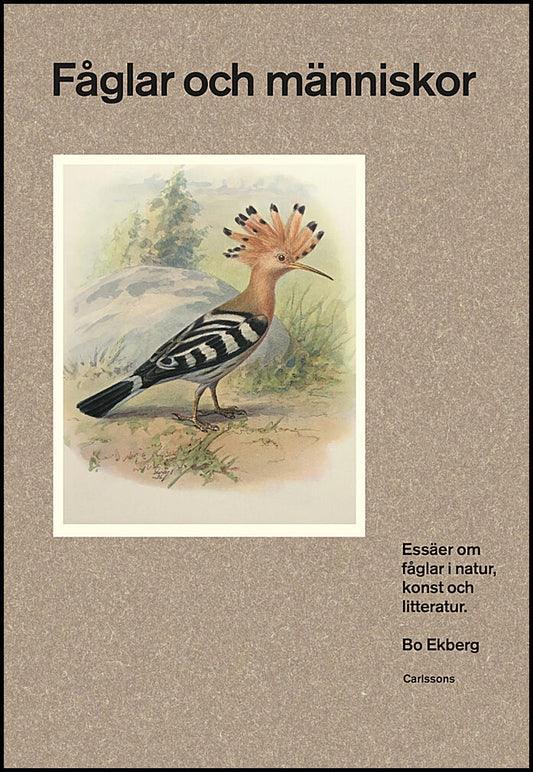 Ekberg, Bo | Fåglar och människor : Essäer om fåglar i natur, konst och litteratur