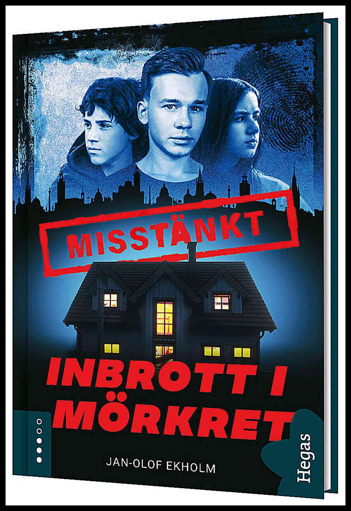 Ekholm, Jan-Olof | Inbrott i mörkret