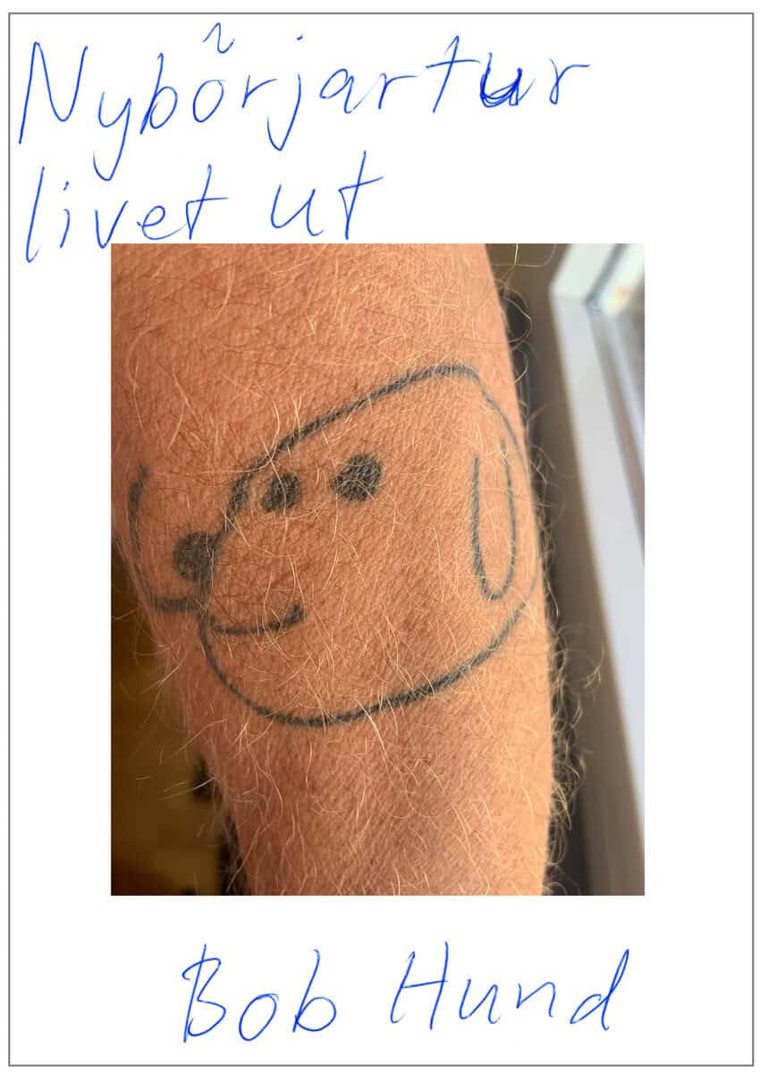 Essing, Johnny | Gabel, Christian | Hellquist, Mats | Jonasson, Jonas | Nimmersjö, Conny | Öberg, Thomas | Bob Hund : Ny...