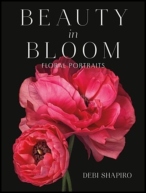 Shapiro, Debi | Beauty in Bloom