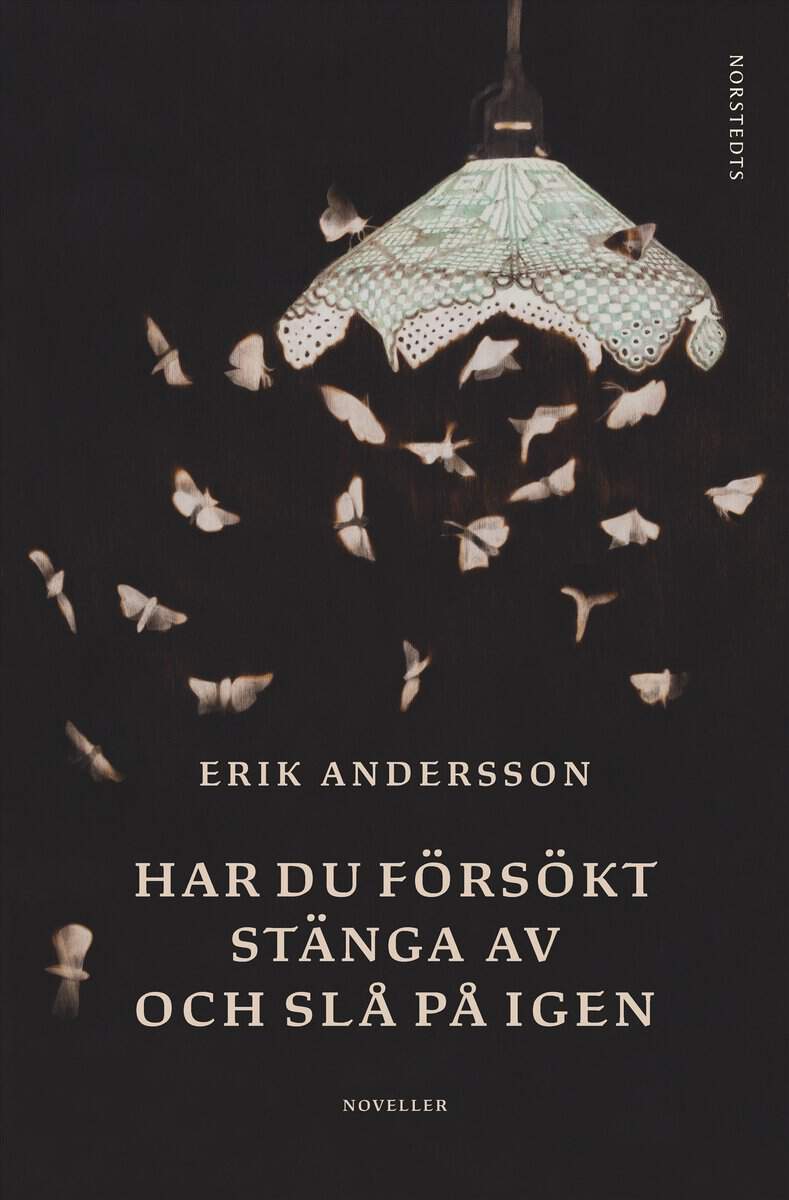 Andersson, Erik | Har du försökt stänga av och slå på igen : Noveller