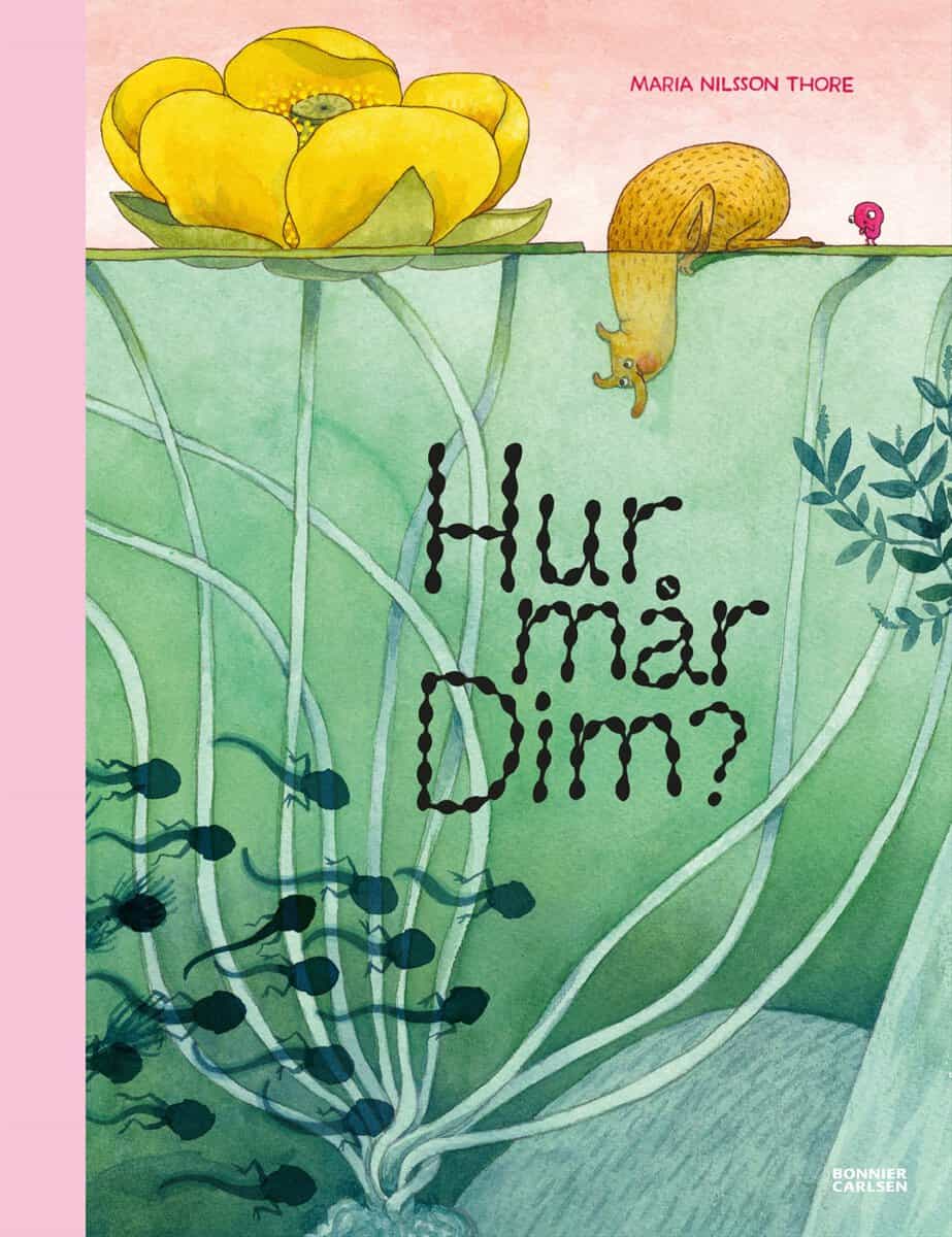 Nilsson Thore, Maria | Hur mår Dim?