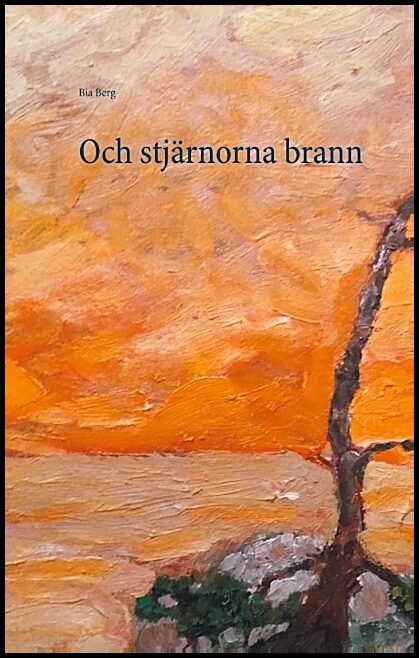 Berg, Bia | Och stjärnorna brann