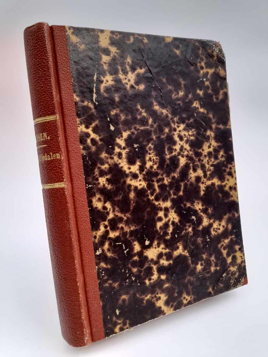 Thoresen, Magdalena | Solen i Siljedalen : En berättelse