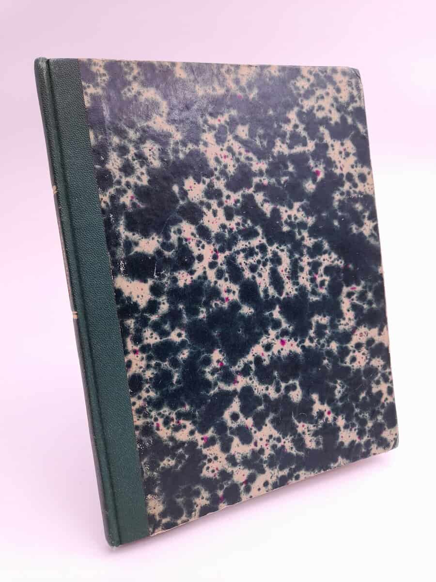 Roskowska, Maria | På Hallig-öarna eller Ebb och flod : Berättelse för ungdom