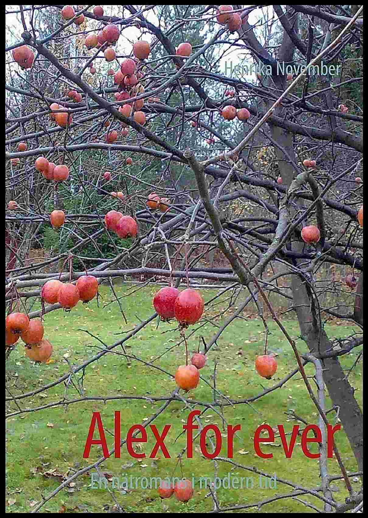 November, Henrika | Alex for ever