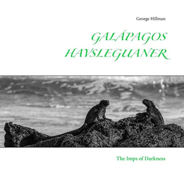 Hillman, George | Galápagos havsleguaner : The 'imps of darkness'