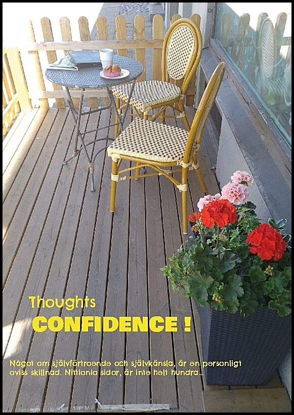 Nehrer, Mikael | Thoughts : Confidence !