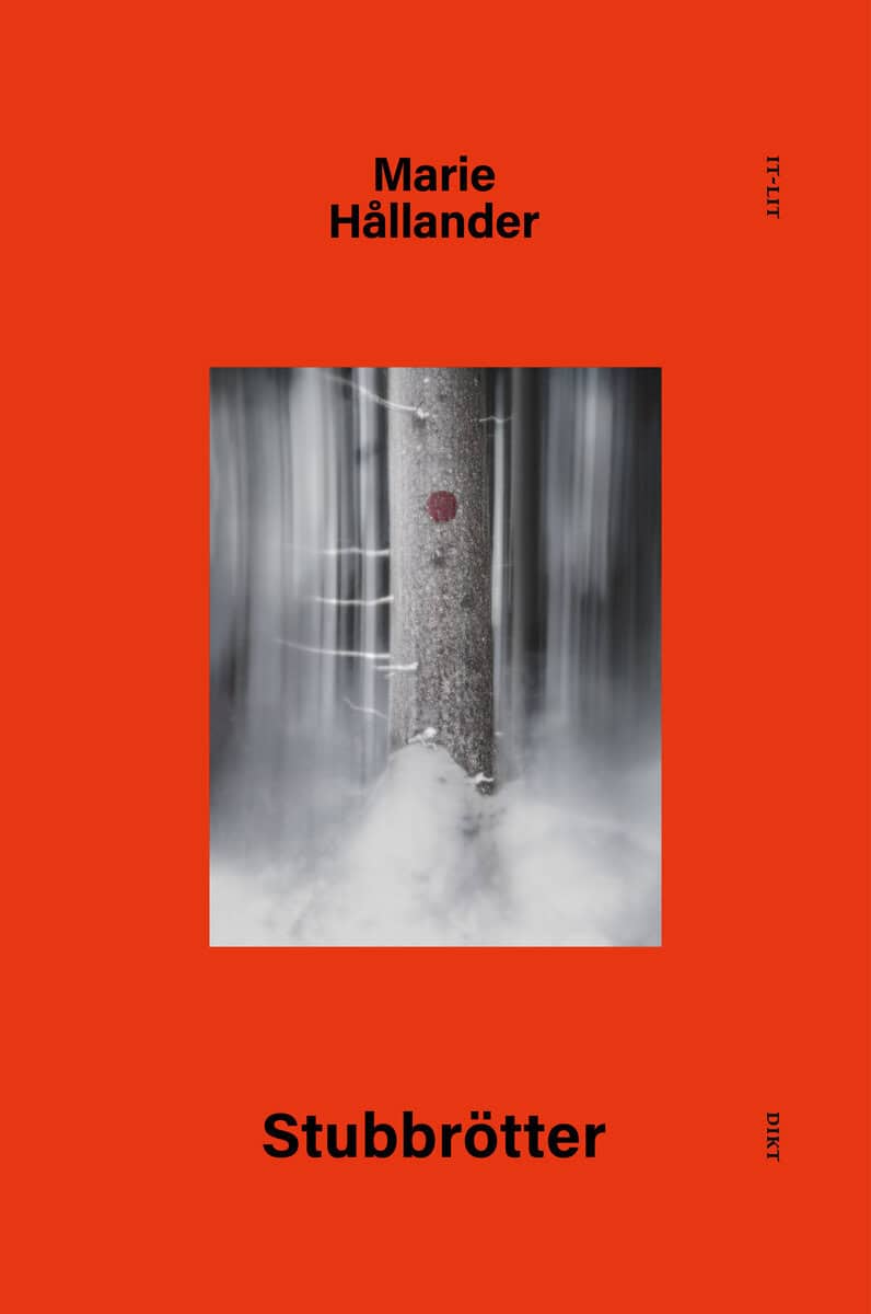Hållander, Marie | Stubbrötter
