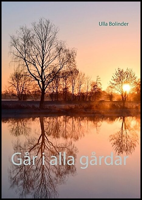 Bolinder, Ulla | Går i alla gårdar