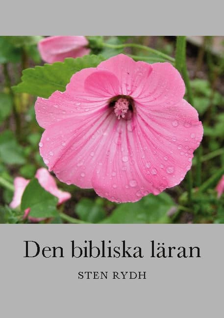 Rydh, Sten | Den bibliska läran : En sammanfattning av den evangelisk-lutherska kyrkans tro och bekännelse