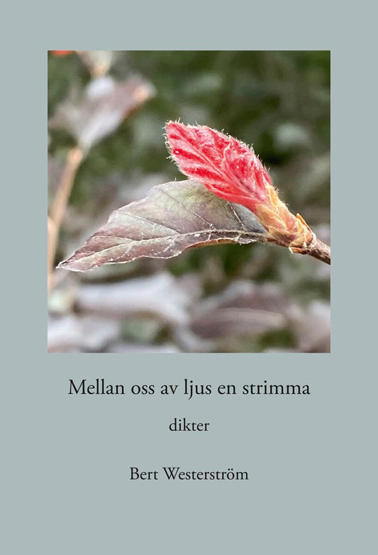 Westerström, Bert | Mellan oss av ljus en strimma