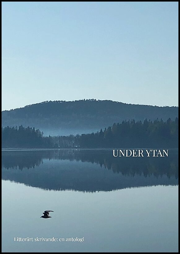 Under ytan : En antologi - Litterärt skrivande, Hola 21-22
