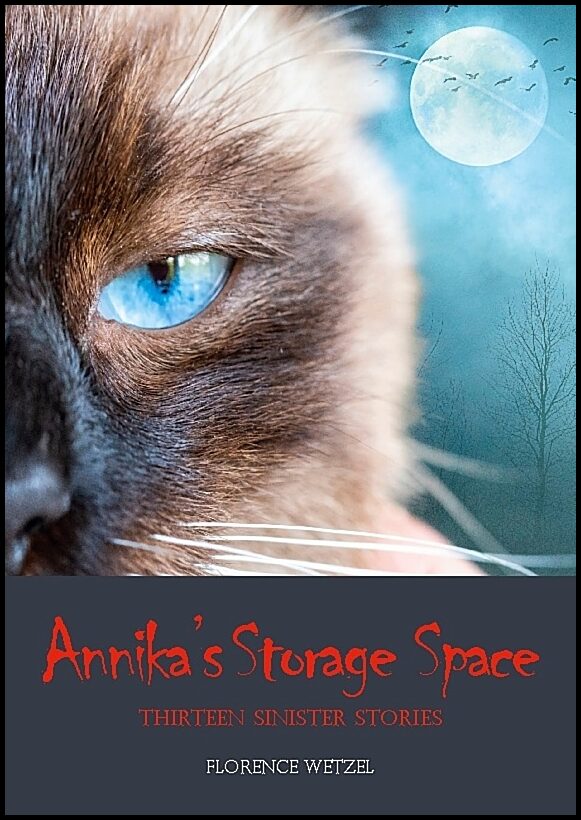 Wetzel, Florence | Annika's storage space : Thirteen sinister stories