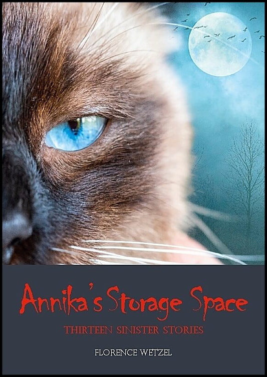 Wetzel, Florence | Annika's storage space : Thirteen sinister stories