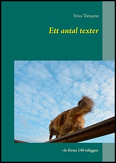 Törnqvist, Erica | Ett antal texter : De första 140 inläggen