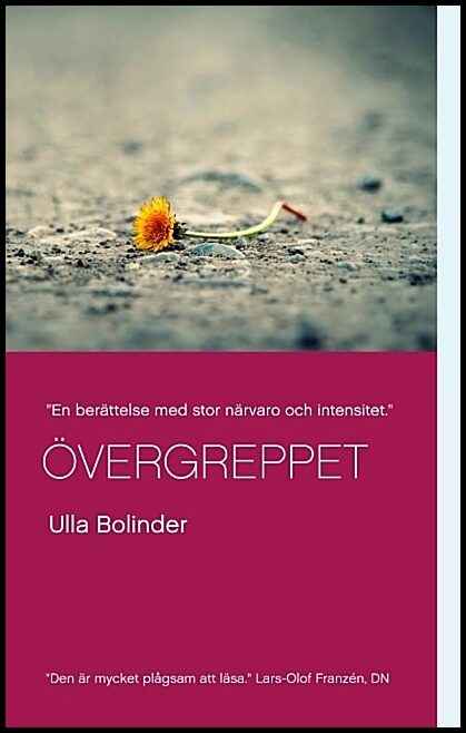 Bolinder, Ulla | Övergreppet