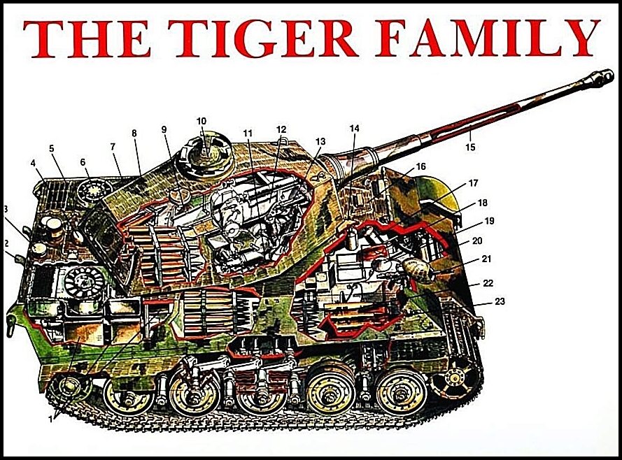 Scheibert, Horst | Tiger family