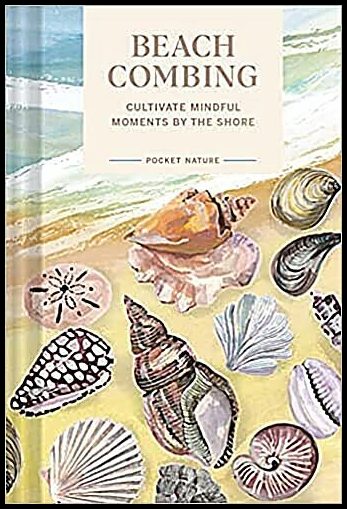 Sadie Small | Pocket Nature : Beachcombing