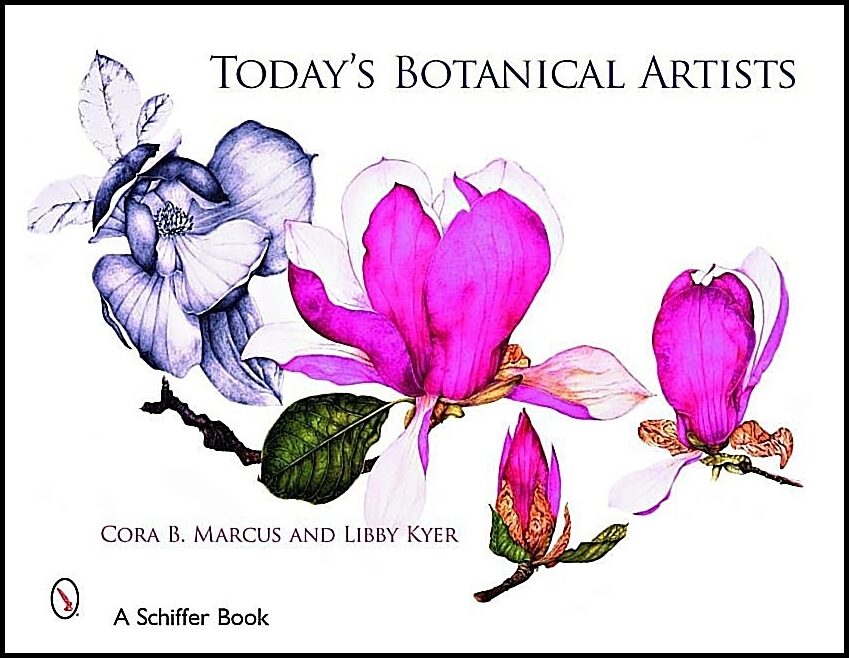 Cora Marcus - Libby Kyer | Today's Botanical Artists