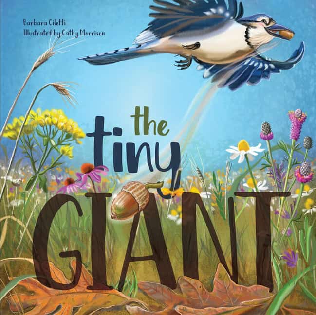 Barbara Ciletti - Cathy Morrison | The Tiny Giant