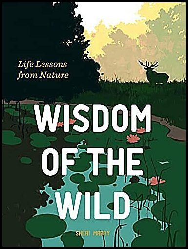 Sheri Mabry | Wisdom of the Wild
