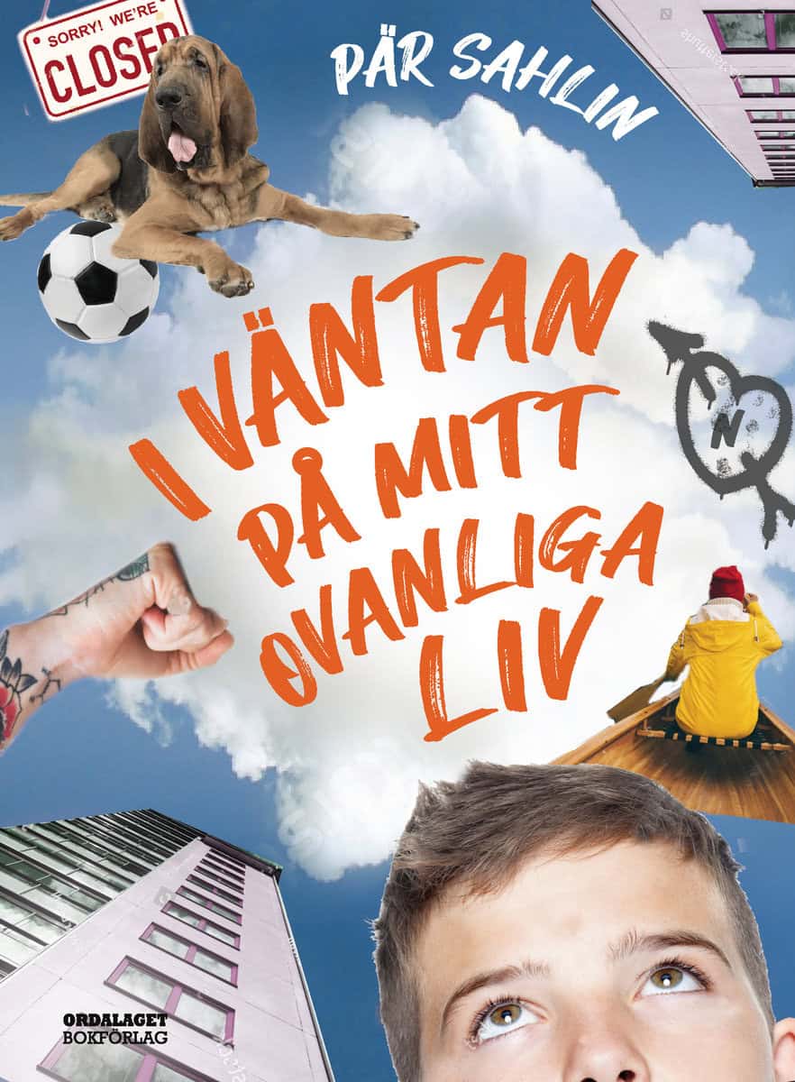 Sahlin, Pär | I väntan på mitt ovanliga liv