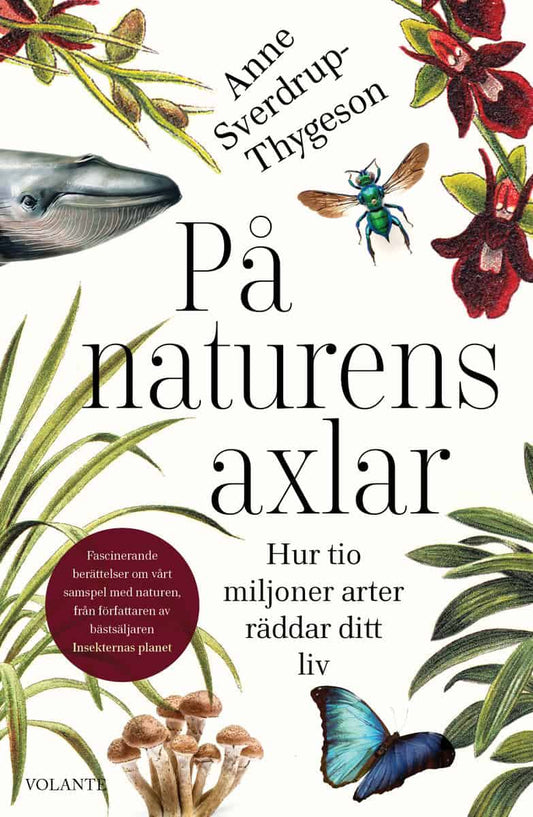 Sverdrup-Thygeson, Anne | På naturens axlar : Hur tio miljoner arter räddar ditt liv