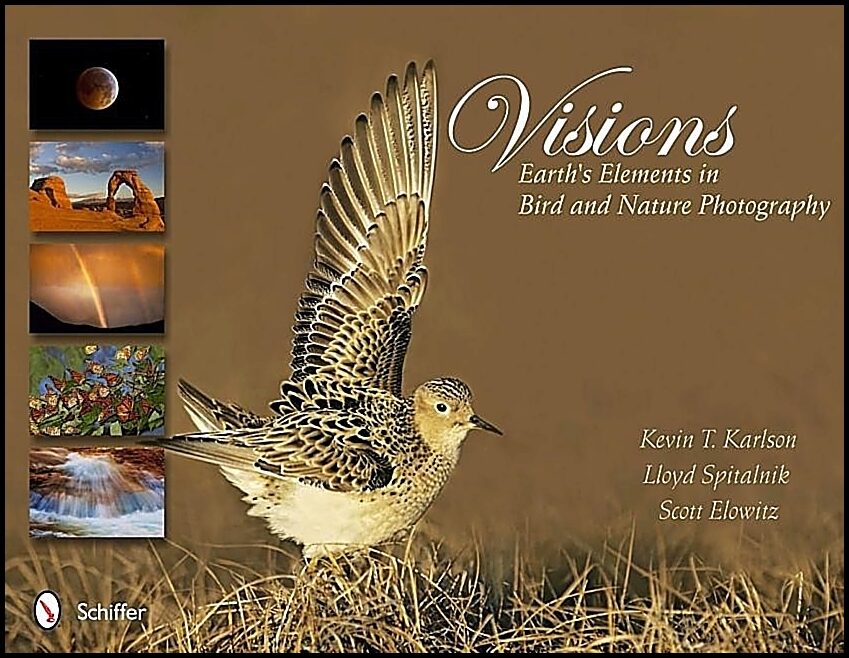 Elowitz, Scott | Visions : Earths elements in bird and nature photography