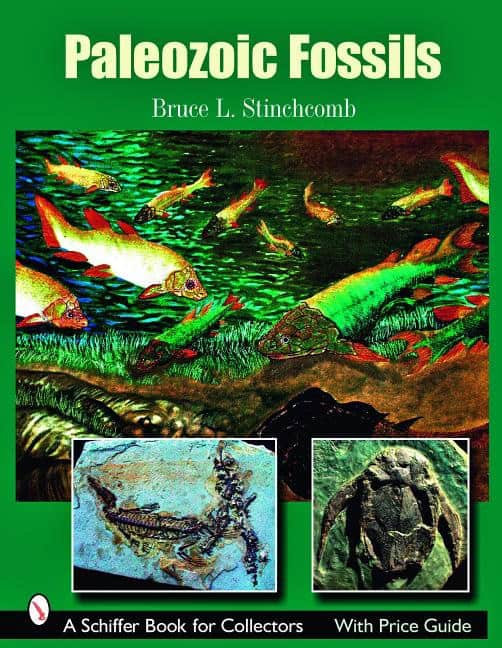 Bruce L. Stinchcomb | Paleozoic Fossils